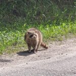 Week of May 14th, 2023