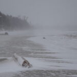 Week of March 27th, 2022