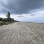 Week of August 3rd, 2025