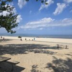 Week of August 10th, 2025