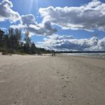 Week of August 31st, 2025