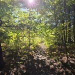 Week of October 5th, 2025