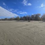 Week of November 2nd, 2025