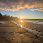 Week of November 16th, 2025