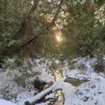 Week of November 23rd, 2025