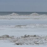 Week of December 14th, 2025