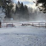 Week of December 28th, 2025