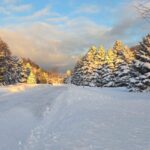 Week of December 7th, 2025