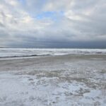 Week of January 11, 2026