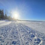 Week of February 1st, 2026