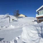 Week of February 8th, 2026