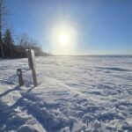 Week of February 8th, 2026