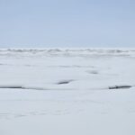 Week of February 15, 2026