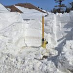 Week of February 22nd, 2026