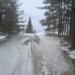 Week of March 15th, 2026