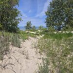 Week of June 21st, 2026